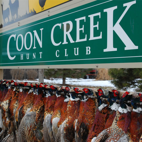 image_gallery_3 Coon Creek Hunt Club