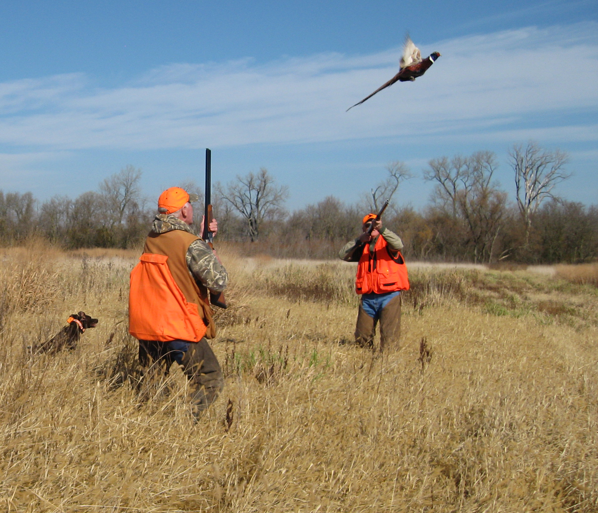 pheasant hunters